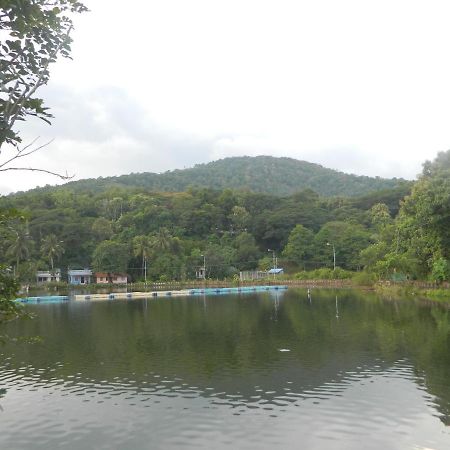 Zamaraya Bed & Breakfast Angamaly Exterior foto