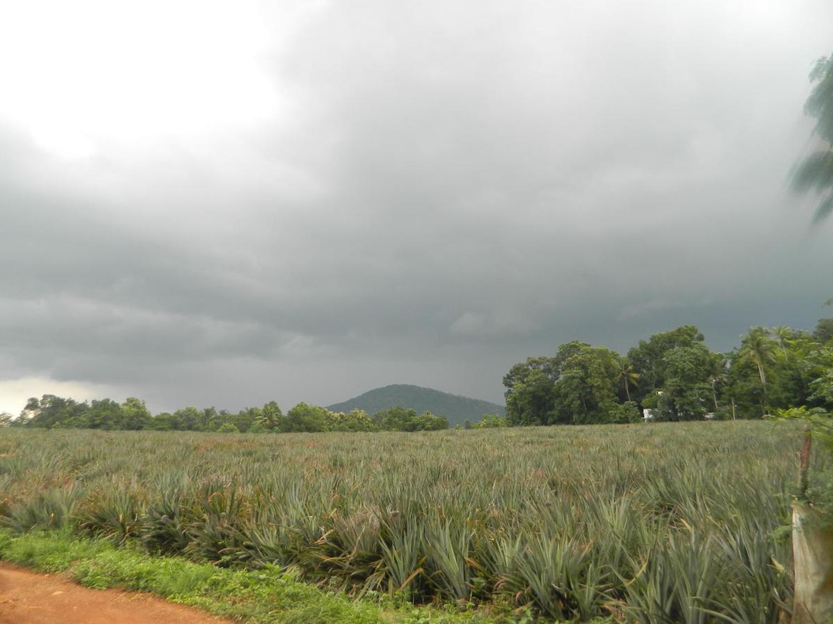 Zamaraya Bed & Breakfast Bed and Breakfast Angamaly Exterior foto